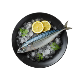 Indian Mackerel